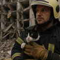 9 котів та птахи: як зоозахисники рятували тварин з-під завалів на Солом'янці