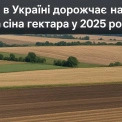 Земля в Україні дорожчає на 32%: яка ціна гектару у 2025 році?
