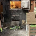 У Києві знищили 612 кг зараженого італійського салату: що треба знати
