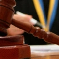 Привласнив землю лісфонду: під Києвом судитимуть директора забудовника