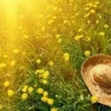 Пекельна спека та зливи вже сьогодні: Київ у центрі погодної бурі!