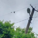 Чому в Києві раптово зникає світло — і що робити просто зараз