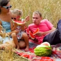 Солодкий обман? Чому липневі кавуни можуть бути небезпечними