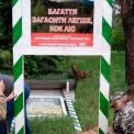 Зелений оазис Києва: чим вабить Дарницьке лісопаркове господарство