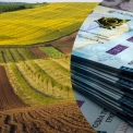 Київщина увійшла в трійку лідерів за вартістю сільгоспземлі в Україні