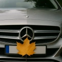 Штраф за креатив: у Борисполі водій Mercedes закрив номер листком з дерева