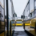 У Києві стартує безкоштовне навчання для водіїв тролейбусів: набір розпочнеться 1 серпня