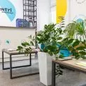 Домедична допомога, мовний клуб і не тільки: дайджест подій у Vcentri HUB на тиждень