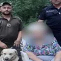 Майже добу у лісі: лабрадор Драго врятував 91-річну грибницю на Бориспільщині