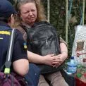У Києві після ракетної атаки врятували десятки домашніх тварин