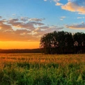 Спека повернеться на Київщину: Антициклон з Європи принесе Україні теплі й сухі серпневі дні