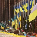 Бахмутська компанія в Ірпені оновить Алею пам’яті військових за 42,72 млн грн