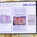 Київ посилив охорону спадщини: за пів року виявили 26 нових пам’яток і подали 143 до держреєстру
