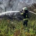 На Київщині за добу зафіксували 26 пожеж в екосистемах