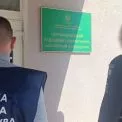 У Чорнобильській зоні незаконно зрубали понад тисячу дерев: збитки – 77 млн грн