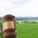 Прокуратура викрила схему з землею на Київщині: 40 гектарів повернули громаді