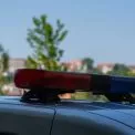 У Білій Церкві підлітки знущалися над їжаком: поліція розшукує винних