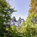 Дарницький ліс повернули громаді: прокуратура відстояла 16 гектарів від забудови