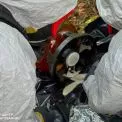 У лісовому масиві Києва виявили два підозрілих бутлі — небезпеки не зафіксовано