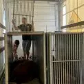 В Ірпені 70 дітей отримали допомогу в межах проєкту «Рюкзак турботи»