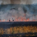 Поліція Київщини нагадує про заборону спалювання сухої трави та сміття