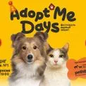Фестиваль AdoptMe Days святкує другий рік: шукаємо дім для котиків і песиків