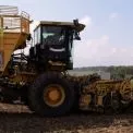 Цукровий дефіцит? В Україні скорочують виробництво на 300 тисяч тонн