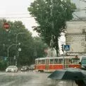 Який сюрприз готує погода киянам у понеділок: короткочасні дощі та +24°С