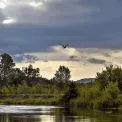 Прокуратура через суд вимагає повернути державі 553 га водного фонду у Вишгороді