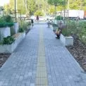 Демонтовані МАФи на Виговського перетворили на зелену зону