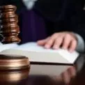 Перемога громади: суд скасував оренду землі під забудову біля Голосіївського парку