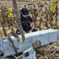 Небезпечна знахідка на Київщині: серед соняшників виявили ракету Х-69