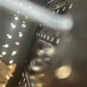 Левиці Міра, Зоря та Клеопатра переїхали з Центру порятунку на батьківщину предків