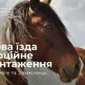 У Києві ветеранів запрошують на заняття з верхової їзди