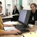 На Київщині запрацював Офіс податкових консультантів: перші результати та відгуки