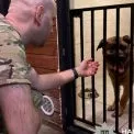 Міша під наглядом: правоохоронці підтвердили належний догляд за собакою