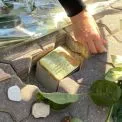 У Києві біля дитячої бібліотеки відкриють новий Камінь спотикання на честь Праведника Бабиного Яру