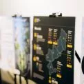 «Я тебе чую»: у Києві нагородили переможців конкурсу учнівських есе та плакатів про окупацію