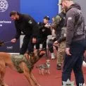 Чотирилапі друзі допомагають воїнам відновити психологічну рівновагу