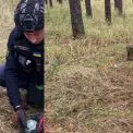 Псу Патрону час на пенсію: на Київщині вибухонебезпечні предмети знешкодили роботизовані пси