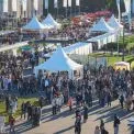 «Книжкова країна 2025» зібрала понад 90 тисяч гостей на ВДНГ