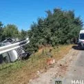 На Вишгородщині загинув водій мікроавтобуса після зіткнення з відбійником