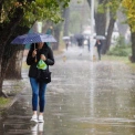У Києві з тижневим запізненням почалась метеоосінь