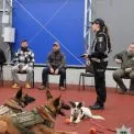 На Київщині ветерани-поліцейські проходять реабілітацію за допомогою службових собак