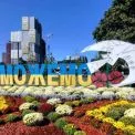 Дарницький район у кольорах осені: понад дві тисячі хризантем прикрасили парки та сквери Києва