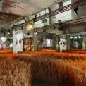 Ukraine WOW знову у Києві: головна виставка країни повернулася на Центральний вокзал