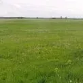 На Київщині затримали аферистів, які незаконно продали чужу ділянку через фіктивний договір