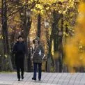 У вихідні Україну чекає дощова, але тепліша погода