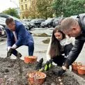 Тюльпани дипломатії: біля МЗС висадили 300 голландських квітів на знак солідарності з Україною