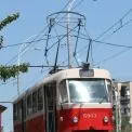 Дерево впало на трамвайну лінію на Лісовій трасі: рух призупинено, запустили автобуси